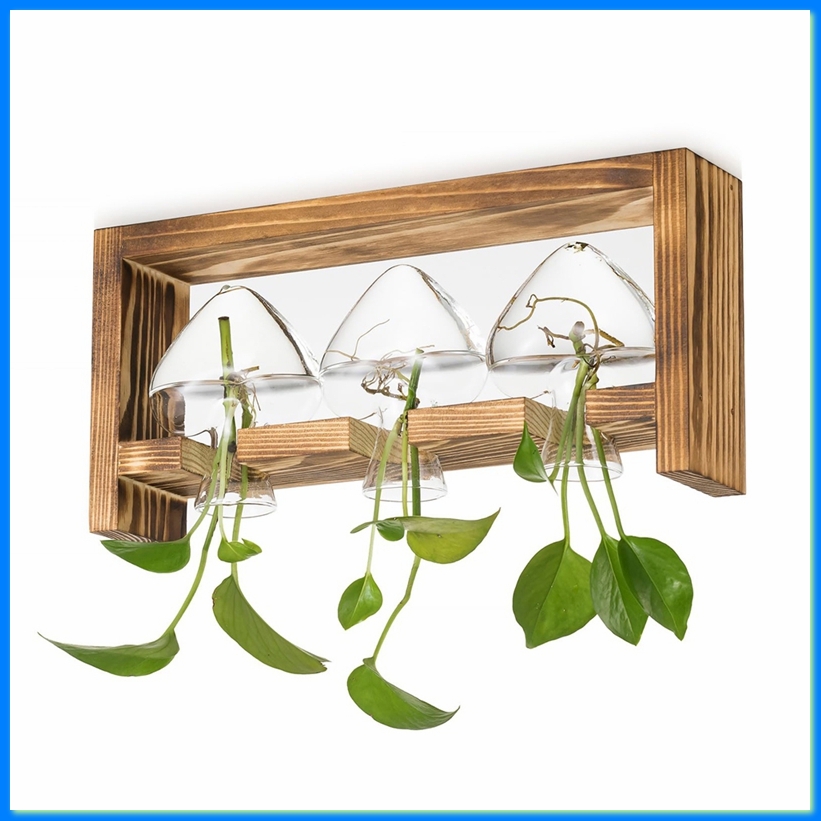 Propagation Station Vase - Estação de Propagação de Plantas em