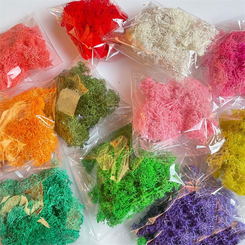 Sphagnum Moss Dry - 20-200g plantas verdes artificiais poliéster musgo