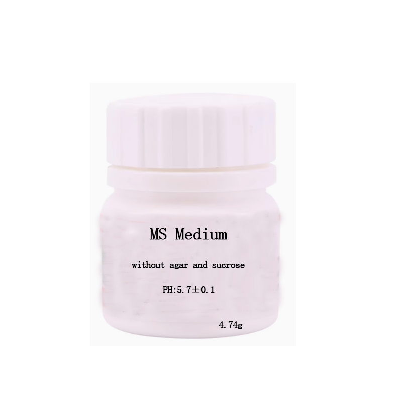 MS Medium sem agar ou sacarose - Agar Tissue Culture avaliação e preço