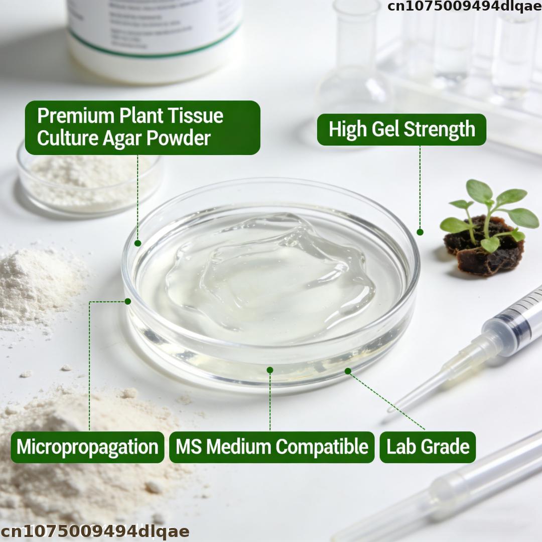 Pó de Agar para Cultura de Tec - Agar Tissue Culture avaliação e preço