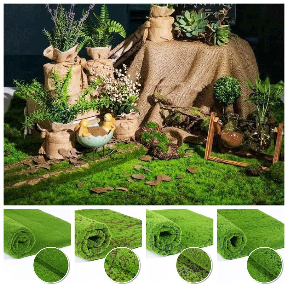 Tapete de Musgo Artificial DIY - Sphagnum Moss Dry avaliação e preço