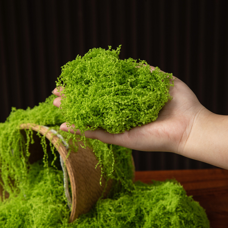 Musgo da Vida Eterna 200g para - Sphagnum Moss Dry avaliação e preço