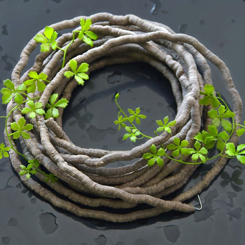 Plantas Artificiais de Hera e  - Sphagnum Moss Dry avaliação e preço