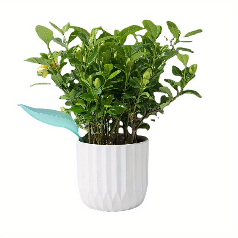 Funil Criativo para Rega de Fo - Self Watering Insert avaliação e preço