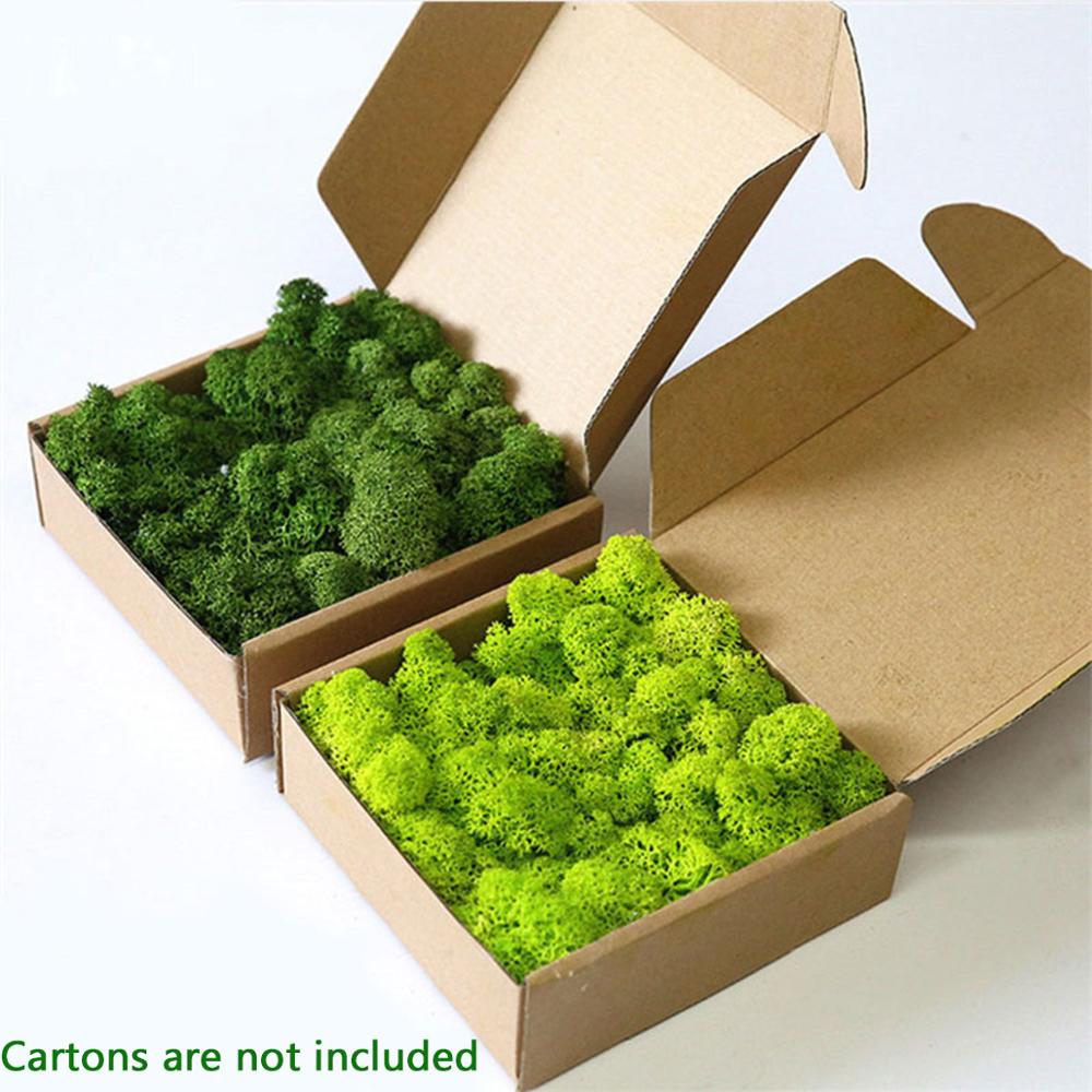 Planta artificial vida eterna  - Sphagnum Moss Dry avaliação e preço