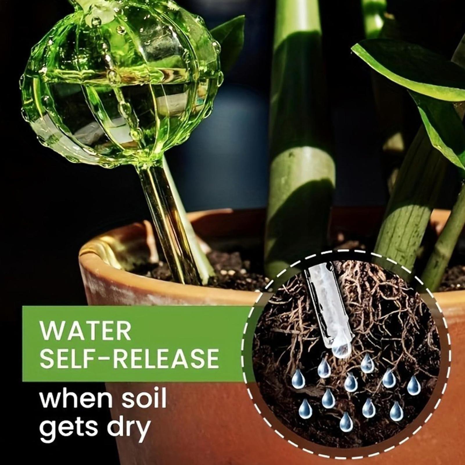 Estacas de Rega para Plantas,  - Self Watering Insert avaliação e preço